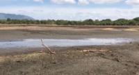 Cracked Earth, Empty Reservoirs & Hungry Wildlife